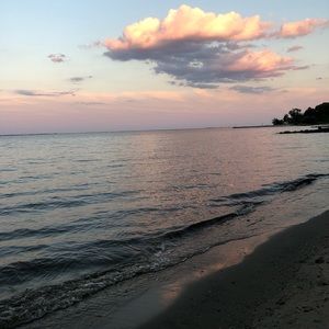 Meet your Posher, Bailey